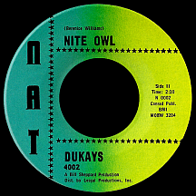 Nite Owl