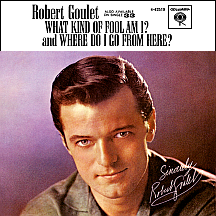 What Kind of Fool Am I?